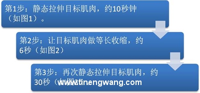 实用PNF伸展技巧-第1张图片-体能网
