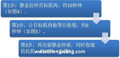 实用PNF伸展技巧-第5张图片-体能网
