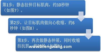 实用PNF伸展技巧-第9张图片-体能网