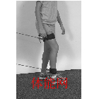 下肢腿部力量训练方法-第1张图片-体能网