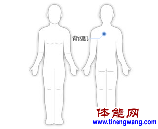 实心球过顶砸地练习技术动作-第4张图片-体能网