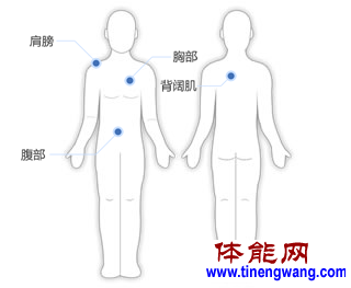 实心球训练方法大全-第10张图片-体能网 实心球训练方法大全-第10张图片-体能网