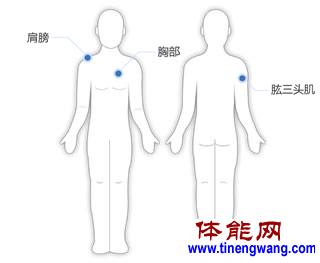 实心球训练方法大全-第18张图片-体能网 实心球训练方法大全-第18张图片-体能网