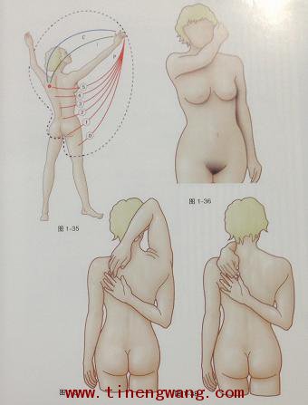 肩袖肌群综合症的运动康复的评估-第4张图片-体能网
