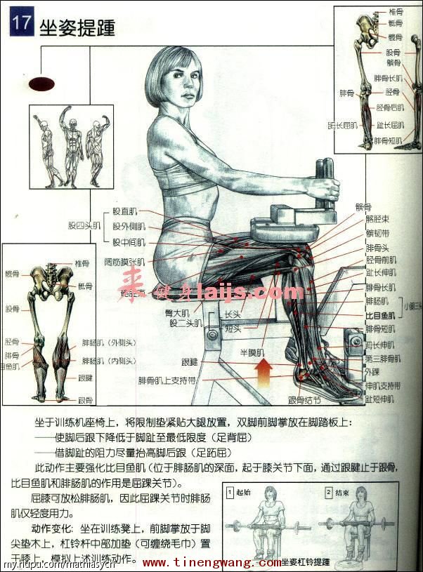 下肢力量