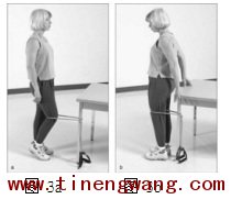 关节炎患者的力量训练方案-第3张图片-体能网