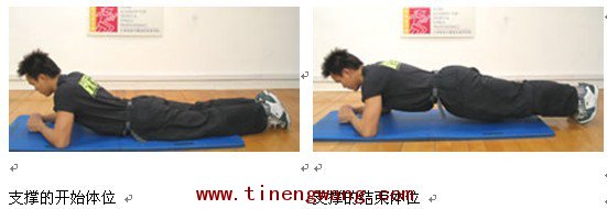 腰背力量训练 平板支撑