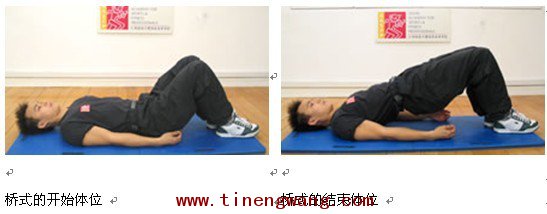 腰背力量训练 桥式
