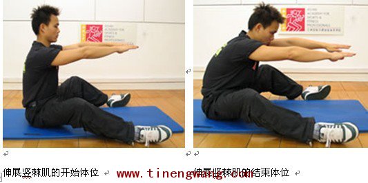 竖肌棘拉伸