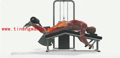腿部力量训练