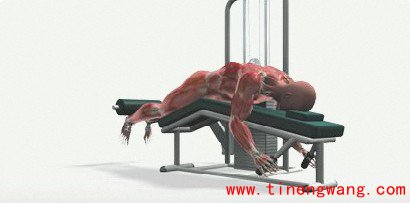 腿部力量训练