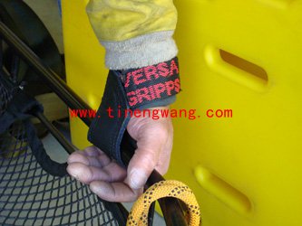 8个增强背肌的要领-第3张图片-体能网 8个增强背肌的要领-第3张图片-体能网