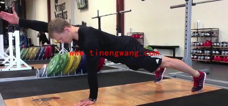 什么是核心肌力与核心训练-第2张图片-体能网 什么是核心肌力与核心训练-第2张图片-体能网