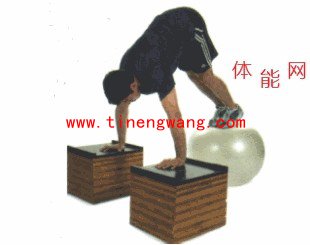 体能训练动作——屈体后推式-第2张图片-体能网 体能训练动作——屈体后推式-第2张图片-体能网
