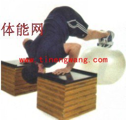 体能训练动作——屈体后推式-第3张图片-体能网 体能训练动作——屈体后推式-第3张图片-体能网