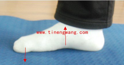 足底筋膜炎的康复训练方法-第3张图片-体能网