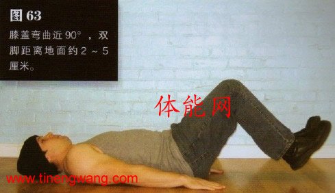 腿举九式打造超强腹肌(一)-第3张图片-体能网 腿举九式打造超强腹肌(一)-第3张图片-体能网