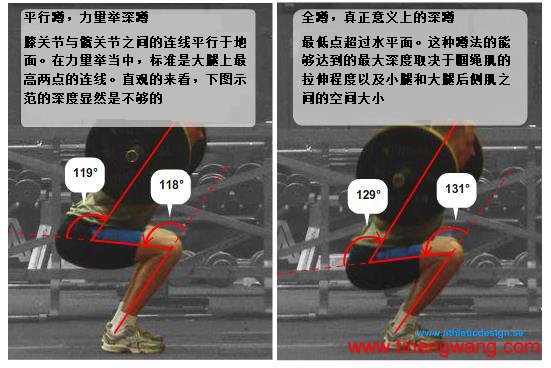 全面剖析深蹲的本质-第2张图片-体能网