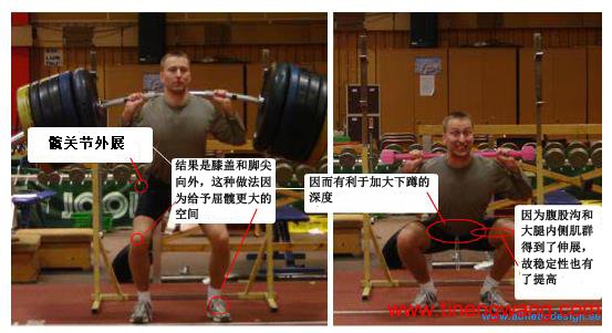 全面剖析深蹲的本质-第3张图片-体能网