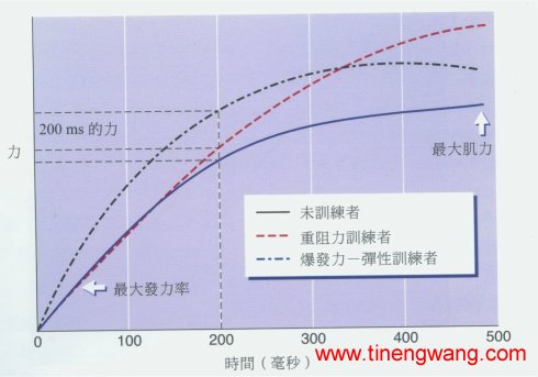 爆发力训练的生理机转及增强式训练-第5张图片-体能网 爆发力训练的生理机转及增强式训练-第5张图片-体能网