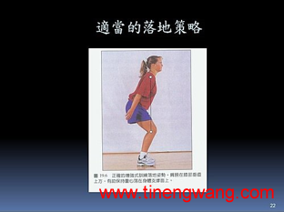 爆发力训练的生理机转及增强式训练-第6张图片-体能网 爆发力训练的生理机转及增强式训练-第6张图片-体能网