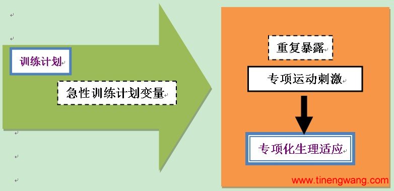 抗阻训练计划的设计-第1张图片-体能网