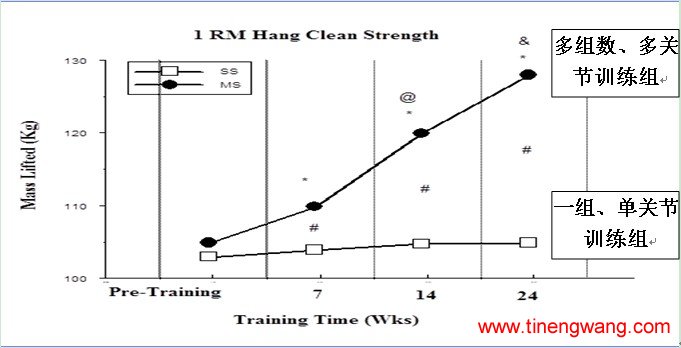 抗阻训练计划的设计-第2张图片-体能网