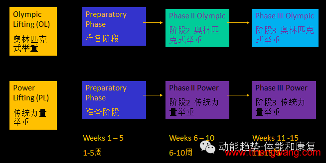 优秀运动员的爆发力训练-第6张图片-体能网