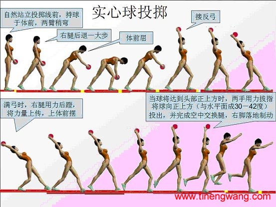 青少年必须知道的实心球训练技巧-第1张图片-体能网 青少年必须知道的实心球训练技巧-第1张图片-体能网