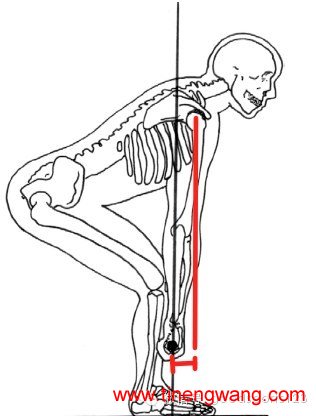 deadlift——撕心裂肺的训练（硬拉）