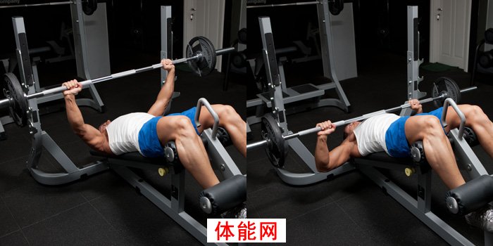 下胸部的崛起--完美下胸7大策略-第2张图片-体能网 下胸部的崛起--完美下胸7大策略-第2张图片-体能网