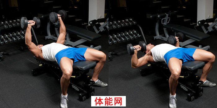下胸部的崛起--完美下胸7大策略-第3张图片-体能网 下胸部的崛起--完美下胸7大策略-第3张图片-体能网