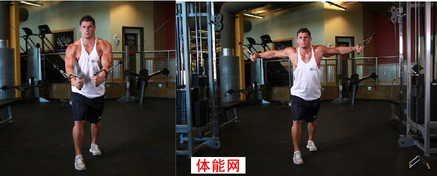 下胸部的崛起--完美下胸7大策略-第6张图片-体能网 下胸部的崛起--完美下胸7大策略-第6张图片-体能网