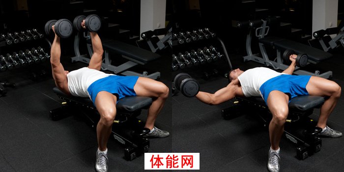 下胸部的崛起--完美下胸7大策略-第7张图片-体能网 下胸部的崛起--完美下胸7大策略-第7张图片-体能网