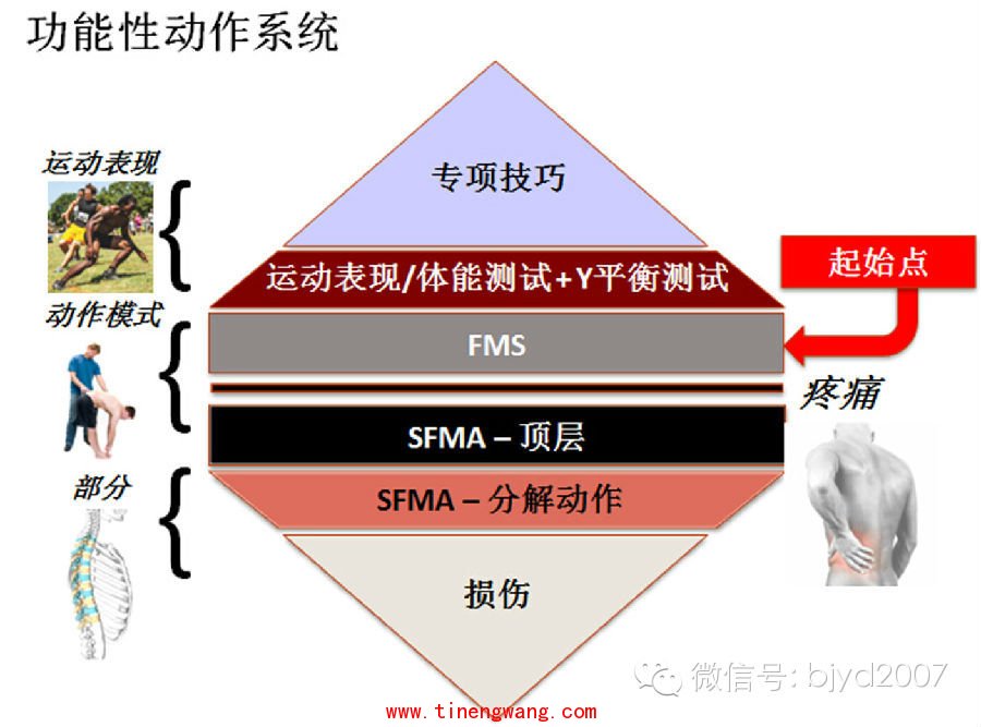 FMS的7个动作说明了什么？-第2张图片-体能网