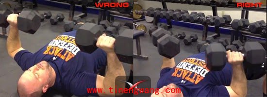 杠铃卧推或是哑铃卧推呢？-第1张图片-体能网