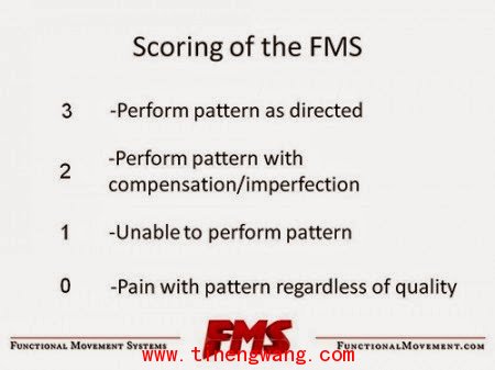 FMS 评分标准