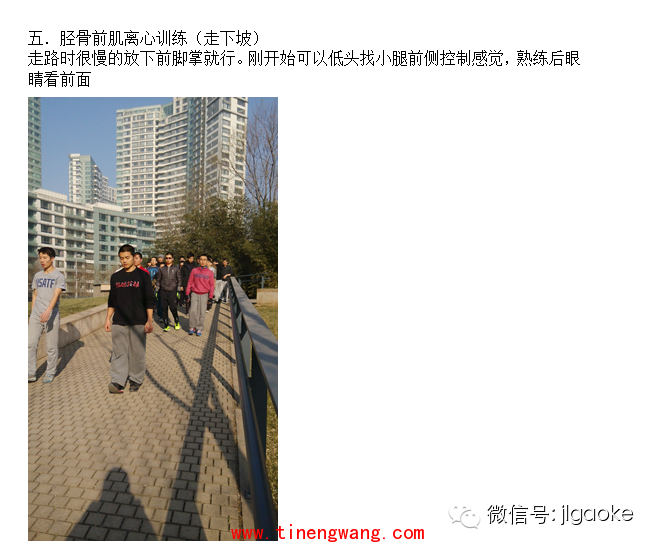 走路时的足踝和小腿功能-第14张图片-体能网