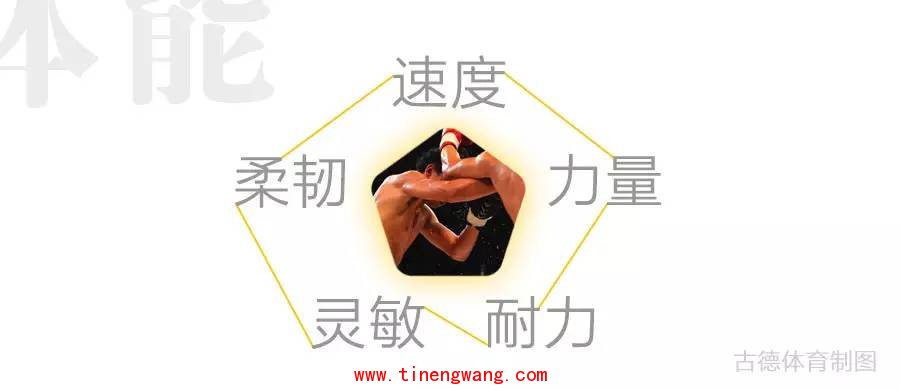 要想快速提高你的搏击能力，必须重视体能-第1张图片-体能网