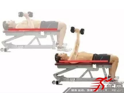 力量训练动作要求的共同点-第3张图片-体能网