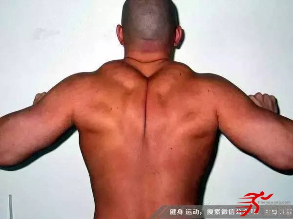 力量训练动作要求的共同点-第8张图片-体能网