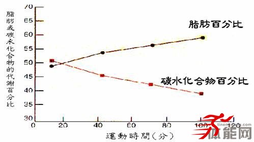 有氧运动和力量训练到底谁先？-第2张图片-体能网