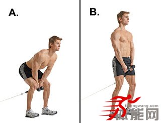 强化男性表现的力量训练计划(一周三次)-第6张图片-体能网 强化男性表现的力量训练计划(一周三次)-第6张图片-体能网