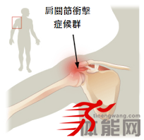 力量训练器械让你身体提早完蛋-第2张图片-体能网