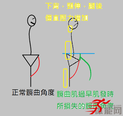 如何判断身体具不具备硬拉的条件?-第3张图片-体能网