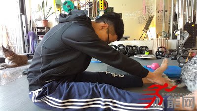 坐位体前弯中的看点-第2张图片-体能网