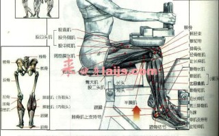 小腿肌群的力量训练 小腿肌群的力量训练