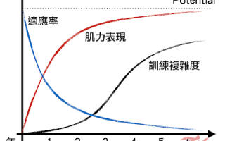 初学者和进阶者课表设计原则 初学者和进阶者课表设计原则