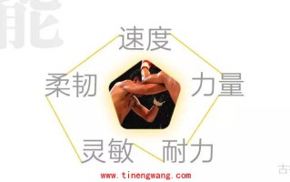 要想快速提高你的搏击能力,必须重视体能 要想快速提高你的搏击能力,必须重视体能