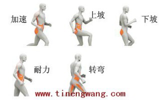跑步运动的核心力量训练 跑步运动的核心力量训练